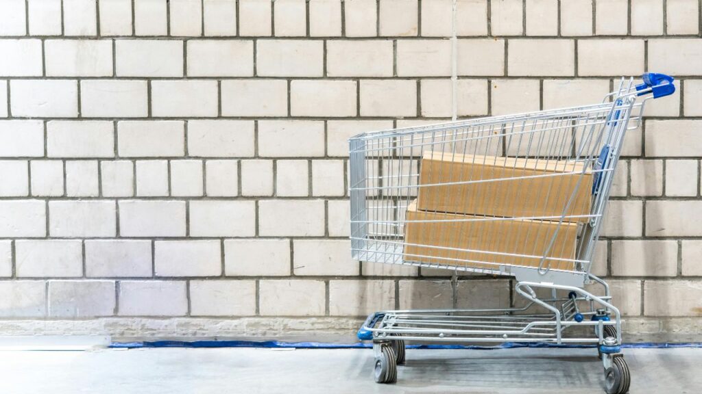 The World Is Your Shopping Cart