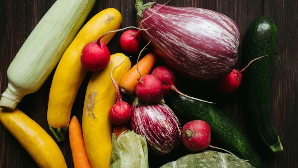 Cousa Squash Botanical Background and Zucchini