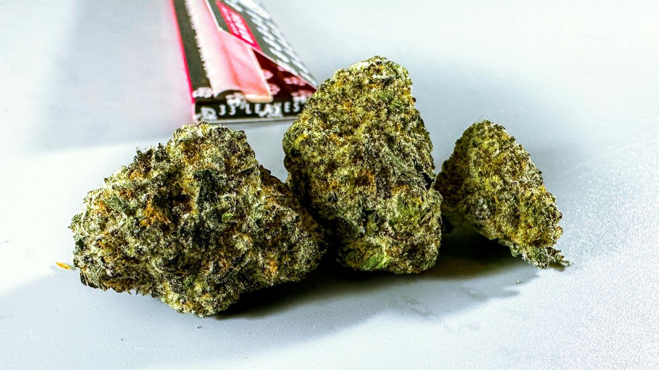 Frosted Flakes Strain Best Brands And Services