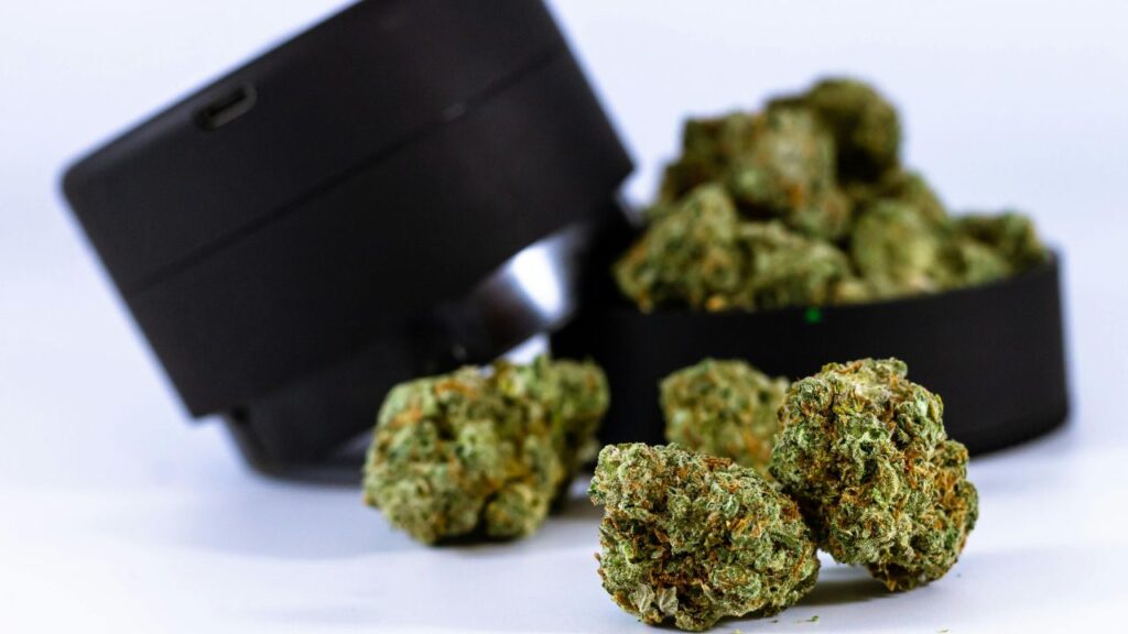 frosted flakes strain genetics lineage details